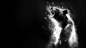 Задник к фильму "Кокаиновый медведь" #718950