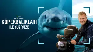 Задник к фильму "Лицом к лицу с акулами с Берти Грегори" #793020