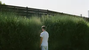 Задник к фильму "Клык" #240164