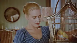 Задник к фильму "Роза Бернд" #681128