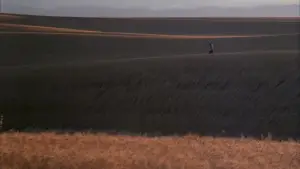 Задник к фильму "Дни жатвы" #716387