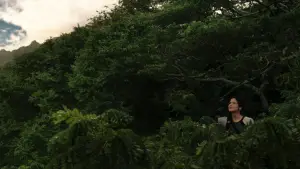 Задник к фильму "Голодные игры: И вспыхнет пламя" #625207