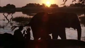 Задник к фильму "Сила личности" #428287