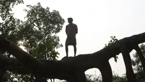Задник к фильму "பைசன் காளமாடன்" #786322