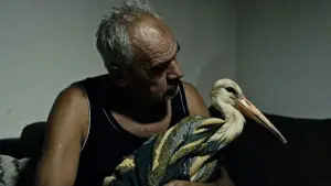 Задник к фильму "Приказната за Силјан" #540304