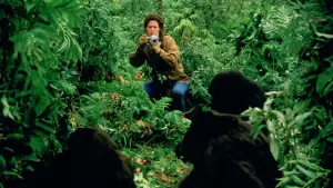 Задник к фильму "Гориллы в тумане" #250084