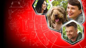 Задник к фильму "Думай как собака" #195401