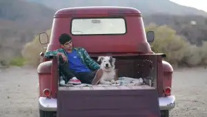 Задник к фильму "Аристотель и Данте открывают тайны Вселенной" #747054