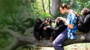 Задник к фильму "Эйс Вентура 2: Когда зовет природа" #669312