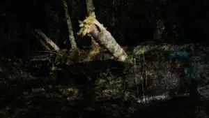 Задник к фильму "" #547818