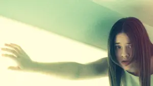 Задник к фильму "По ту сторону черной радуги" #390313