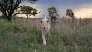 Задник к фильму "Миа и белый лев" #225687