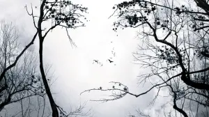 Задник к фильму "Предчувствие" #292112