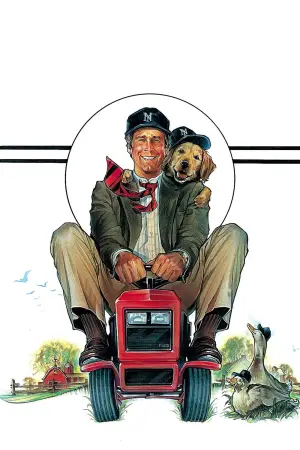 Постер к фильму "Забавная ферма" #697531