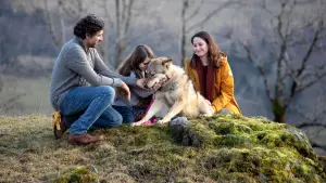 Задник к фильму "Мой волк" #237519