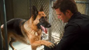 Задник к фильму "Кошки против собак: Месть Китти Галор" #321492