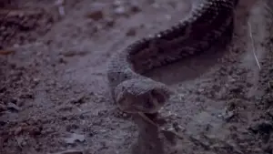 Задник к фильму "" #737840