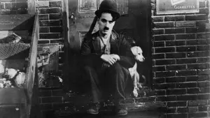 Задник к фильму "Собачья жизнь" #223314