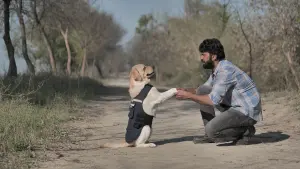 Задник к фильму "777 Чарли" #418986