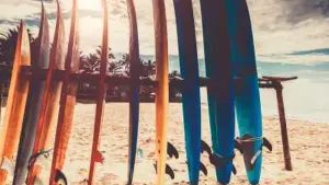 Задник к фильму "" #474133