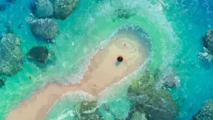 Задник к фильму "Моана" #629492