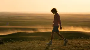 Задник к фильму "Целиком и полностью" #240964