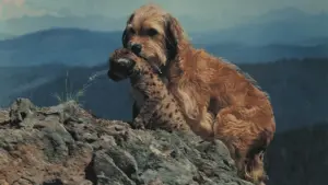 Задник к фильму "Бенджи потерялся" #415123