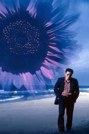 Постер к фильму "Фейерверк" #711007