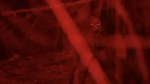 Задник к фильму "" #520682