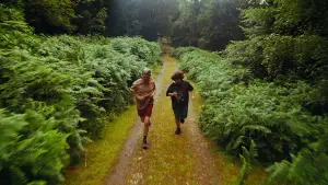 Задник к фильму "Бугония" #511671