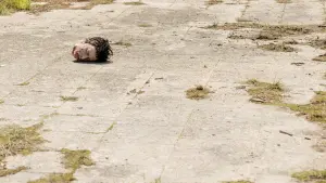 Задник к фильму "Убойный монтаж" #251948