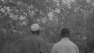 Задник к фильму "" #558066