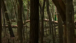 Задник к фильму "KKN: Деревня танцев" #417826