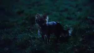 Задник к фильму "Замок" #492462