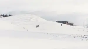 Задник к фильму "" #420420