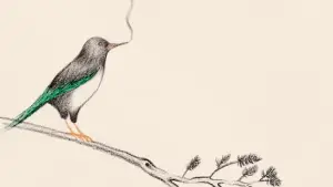 Задник к фильму "" #547712