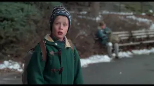 Задник к фильму "Один дома 2: Затерянный в Нью-Йорке" #567044