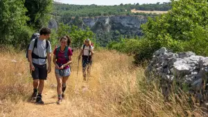 Задник к фильму "Compostelle" #796475