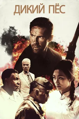 Постер к фильму "Дикий пёс" #85611