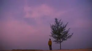 Задник к фильму "" #537093