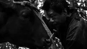 Задник к фильму "" #543241