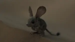 Задник к фильму "Дюна" #529683