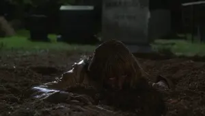 Задник к фильму "Убить Билла: Фильм 2" #183956