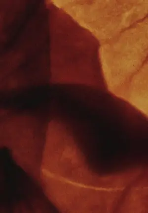 Постер к фильму "" #703595