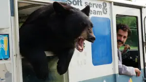 Задник к фильму "Борат" #732706