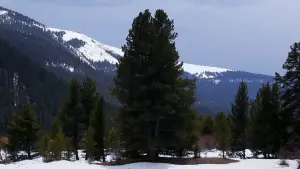 Задник к фильму "Камера бесконечности" #486173