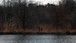 Задник к фильму "" #473970