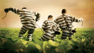 Задник к фильму "О, где же ты, брат?" #224071