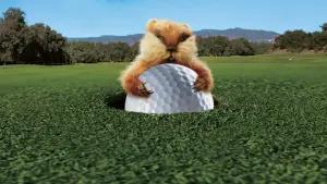 Задник к фильму "Гольф-клуб" #273429