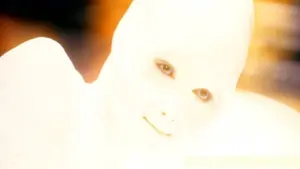 Задник к фильму "Кокон 2: Возвращение" #277343